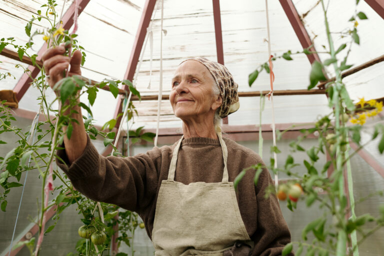 Woman picks vegetables from greenhouse garden.