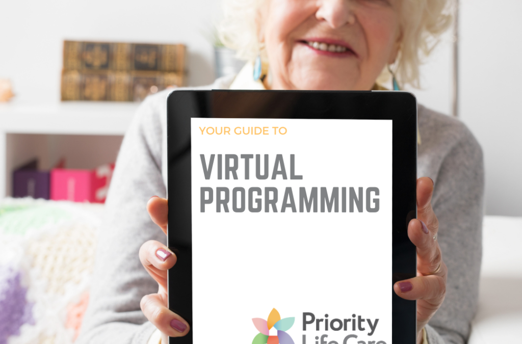 Your Guide to Virtual Programming